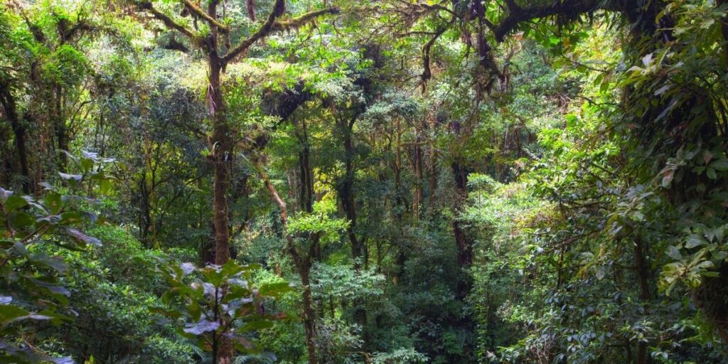 travel to Costa Rica 