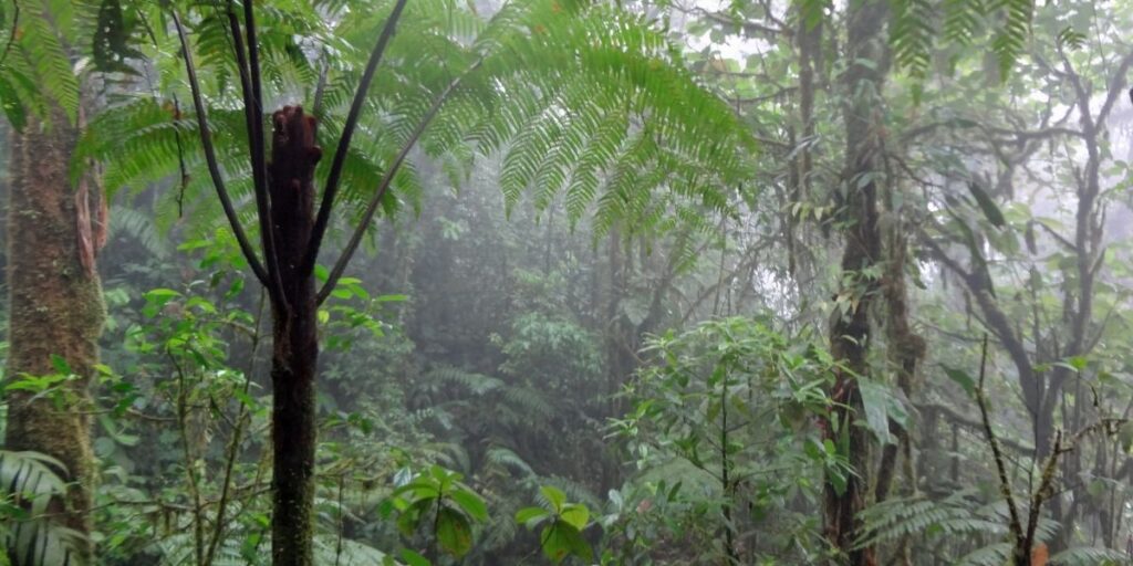 travel to Costa Rica